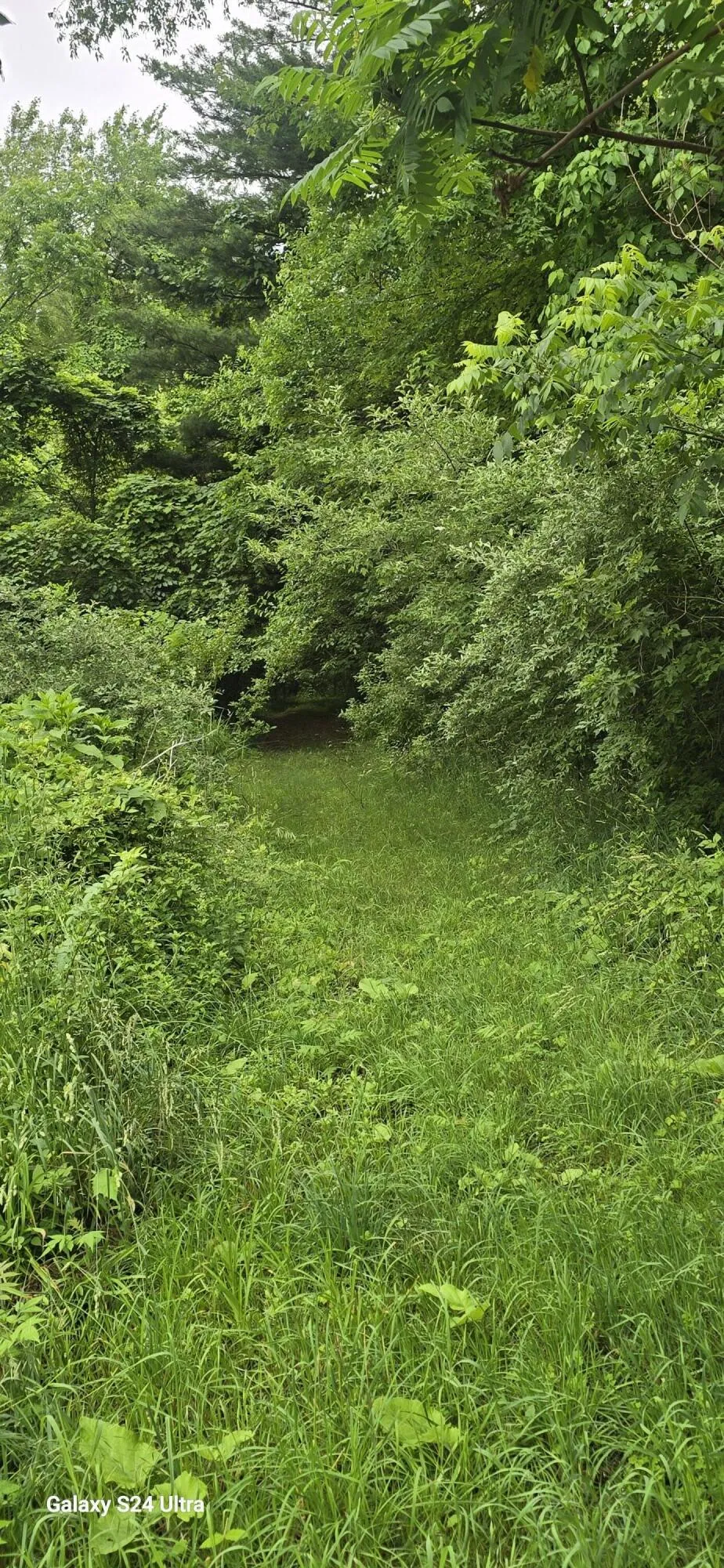 Lakefront Drive Delton, MI 49046