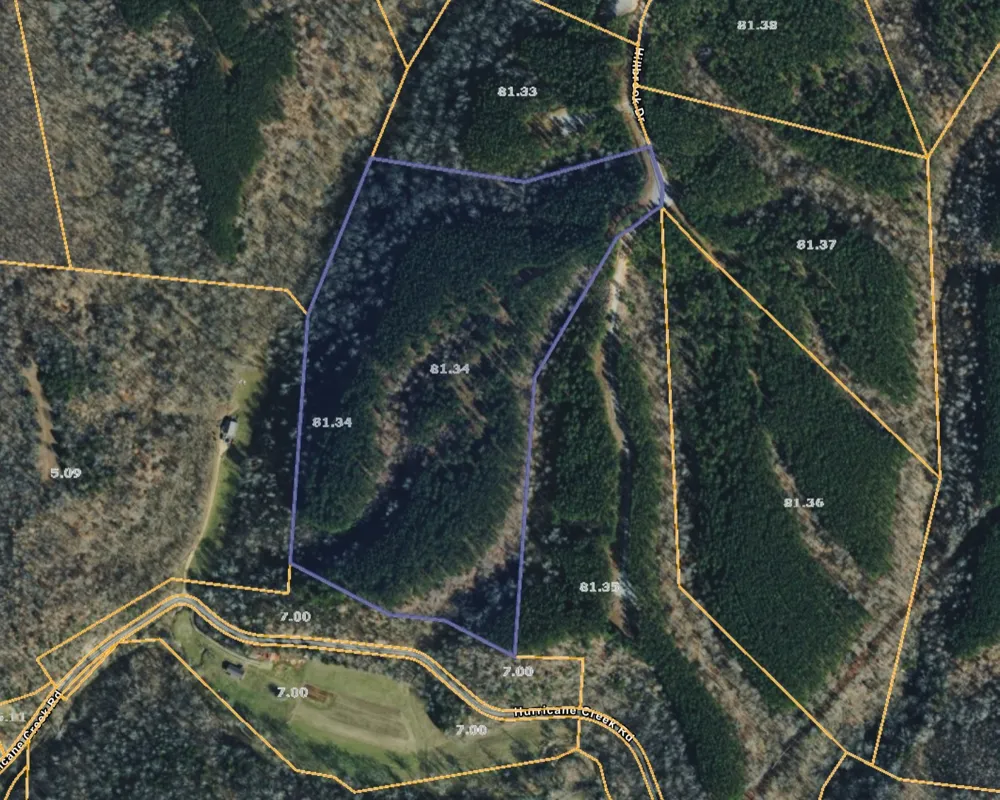 1882 Hillbrook Dr Linden, TN 37096