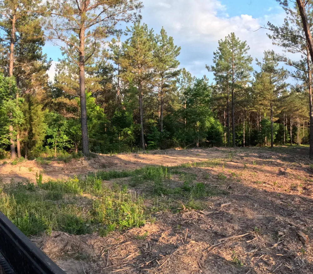 1882 Hillbrook Dr Linden, TN 37096