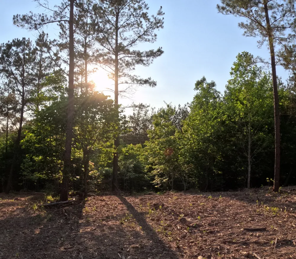 1882 Hillbrook Dr Linden, TN 37096