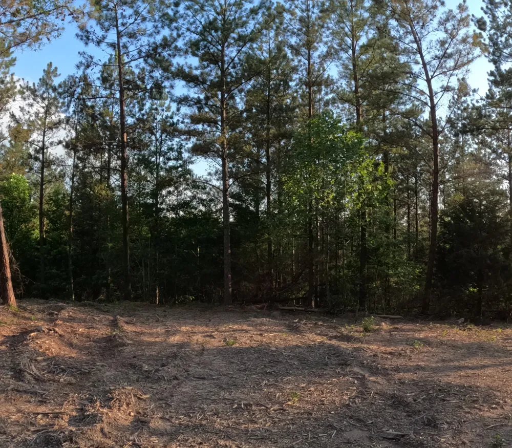 1882 Hillbrook Dr Linden, TN 37096