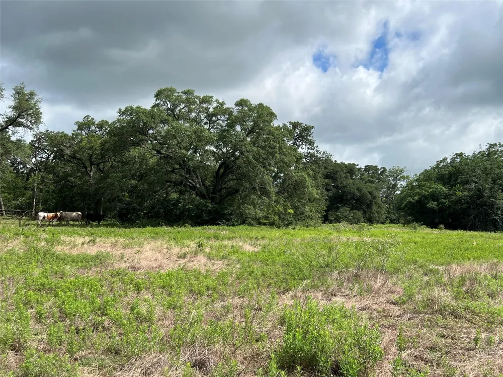 3500 Fm 1579 Schulenburg, TX 78956