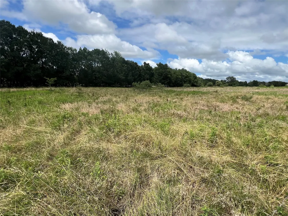 3500 Fm 1579 Schulenburg, TX 78956