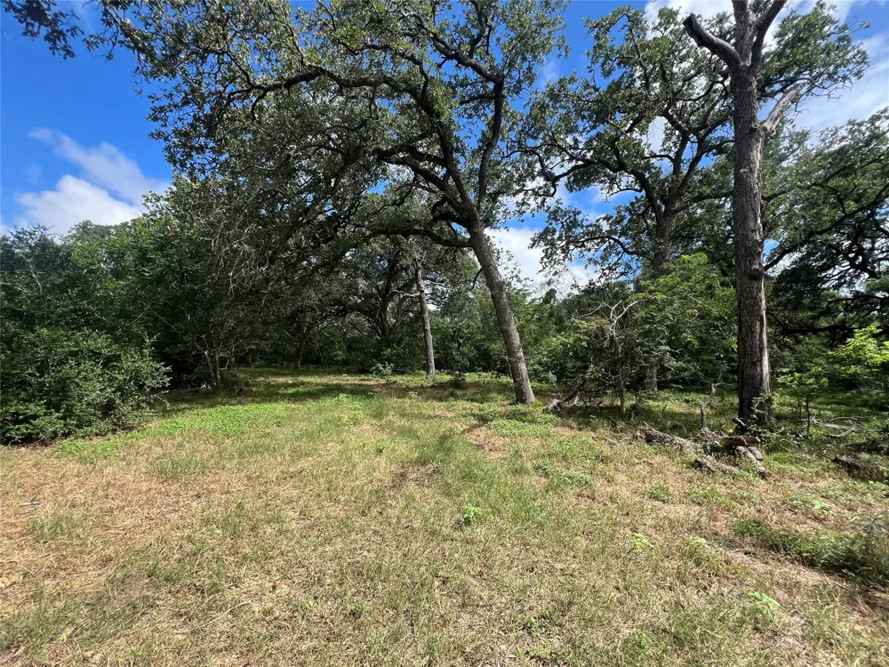 3500 Fm 1579 Schulenburg, TX 78956