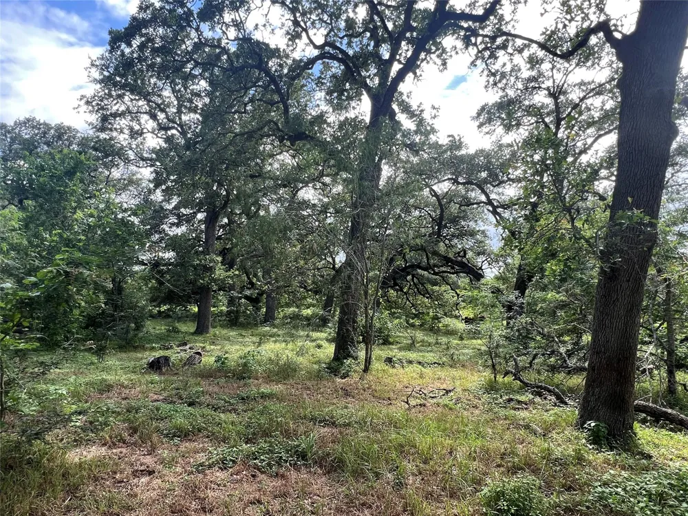 3500 Fm 1579 Schulenburg, TX 78956