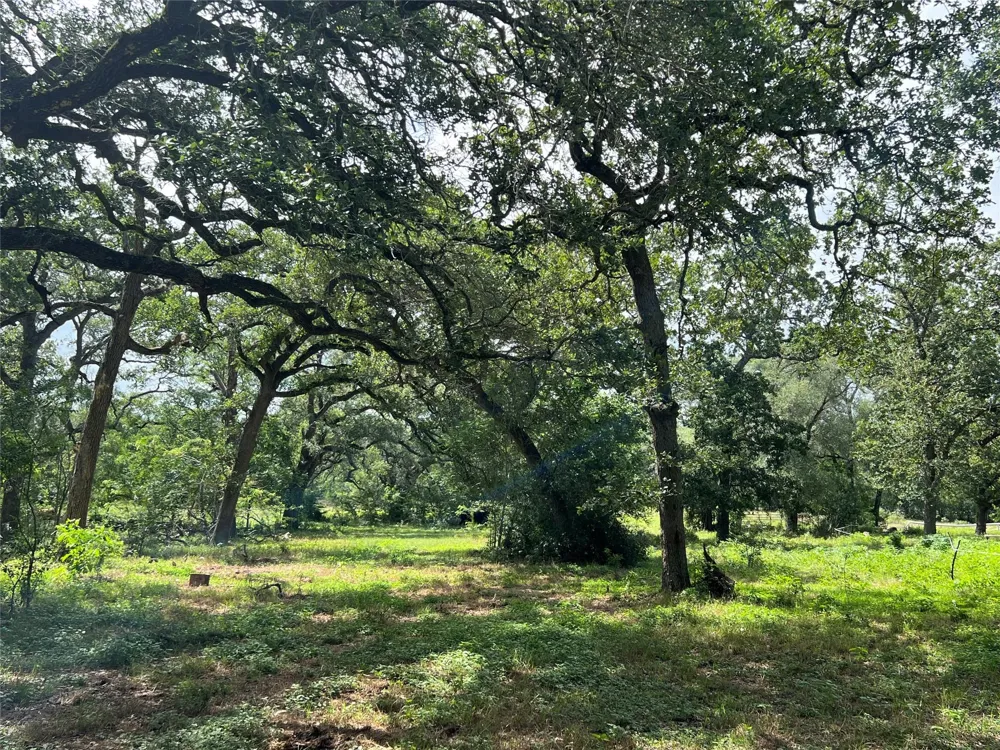 3500 Fm 1579 Schulenburg, TX 78956