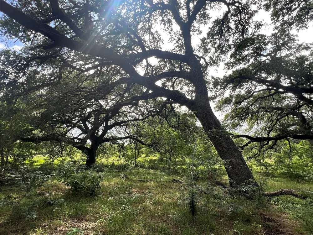 3500 Fm 1579 Schulenburg, TX 78956