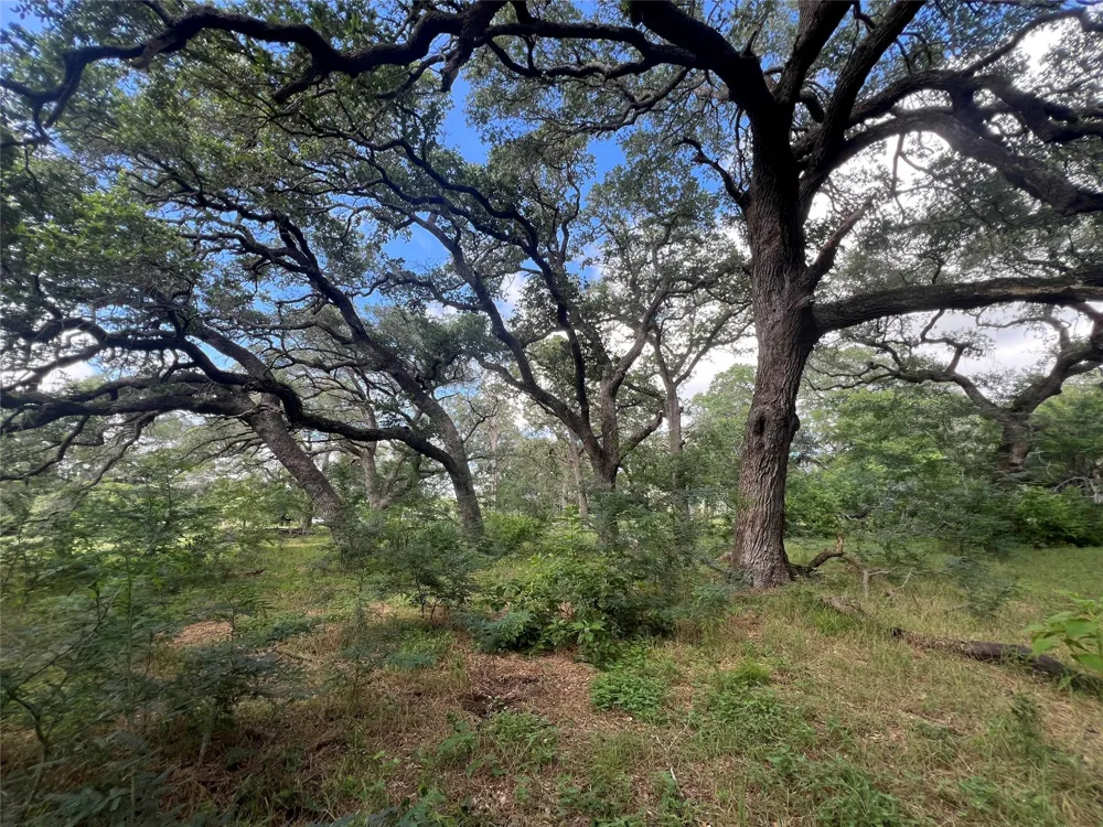 3500 Fm 1579 Schulenburg, TX 78956