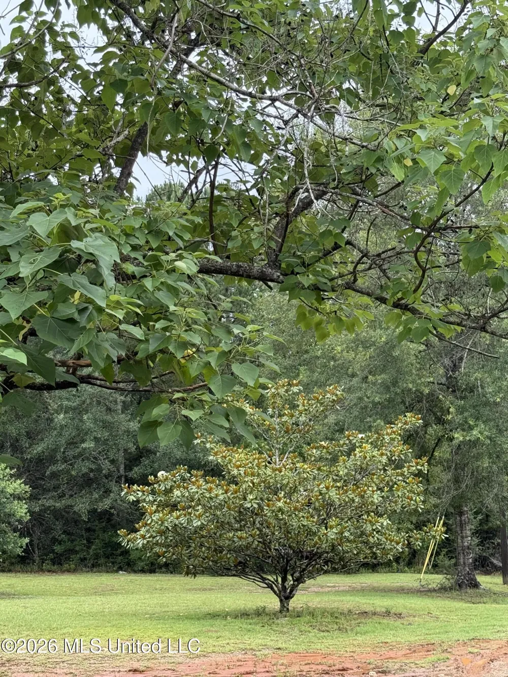 808 W Mchenry Road McHenry, MS 39561