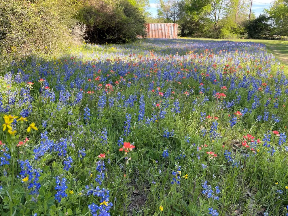 18964 Old Bundick Rd Road Bryan, TX 77808