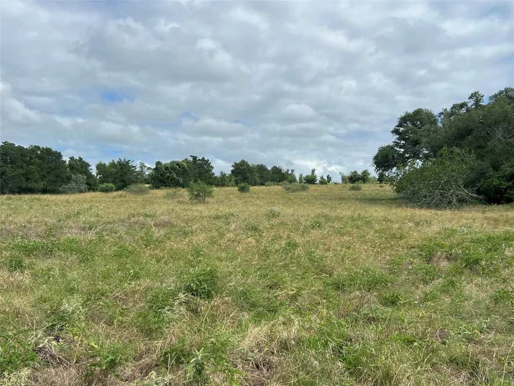 Langdon Road And Fm 1579 Schulenburg, TX 78956