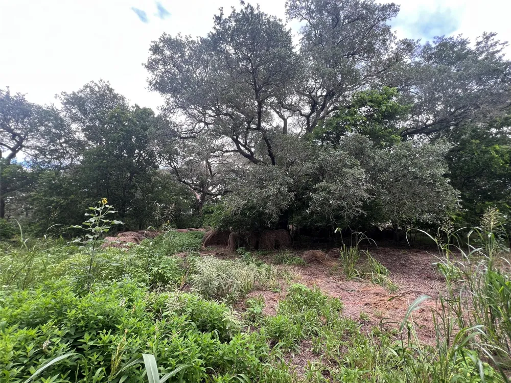 Langdon Road And Fm 1579 Schulenburg, TX 78956