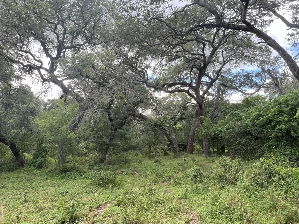 Langdon Road And Fm 1579 Schulenburg, TX 78956