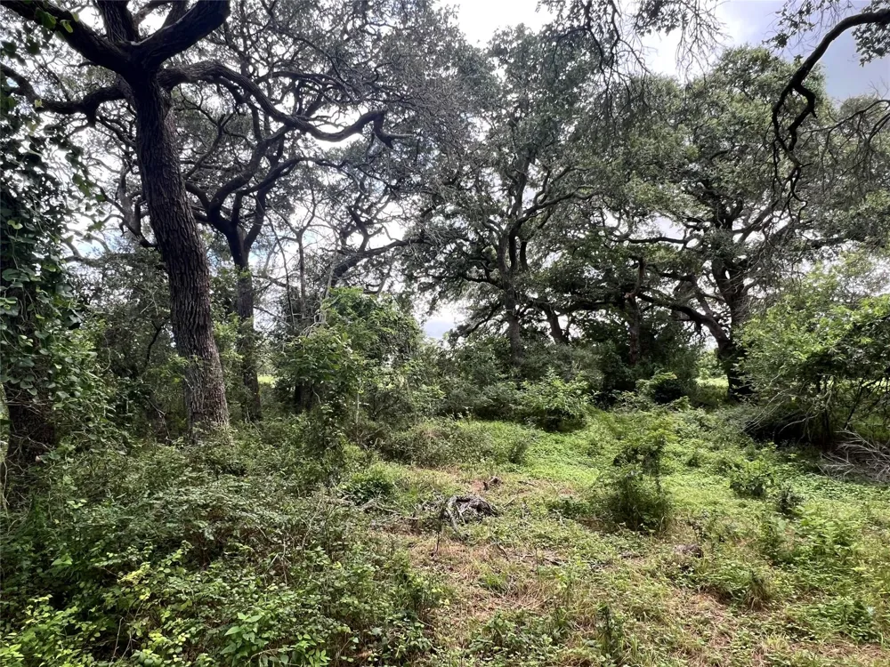 Langdon Road And Fm 1579 Schulenburg, TX 78956