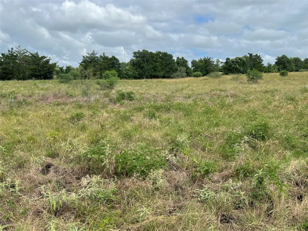 Langdon Road And Fm 1579 Schulenburg, TX 78956