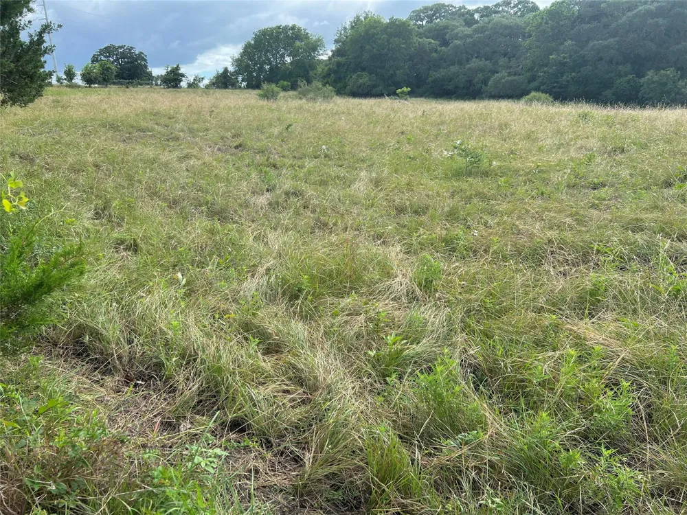 Langdon Road And Fm 1579 Schulenburg, TX 78956
