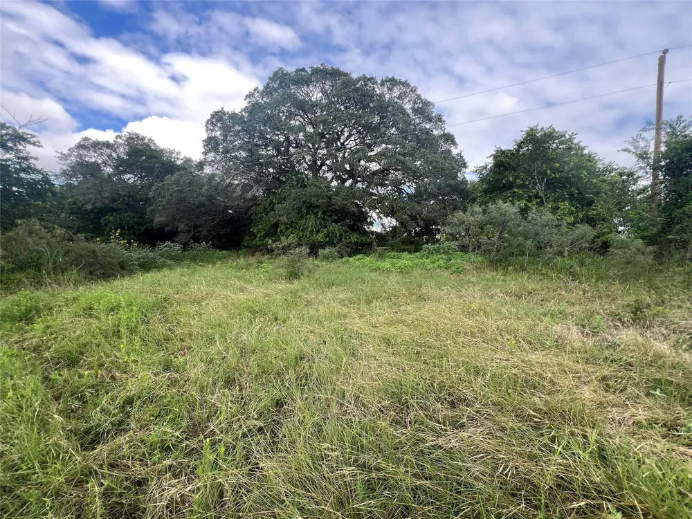 Langdon Road And Fm 1579 Schulenburg, TX 78956
