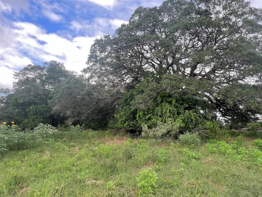 Langdon Road And Fm 1579 Schulenburg, TX 78956