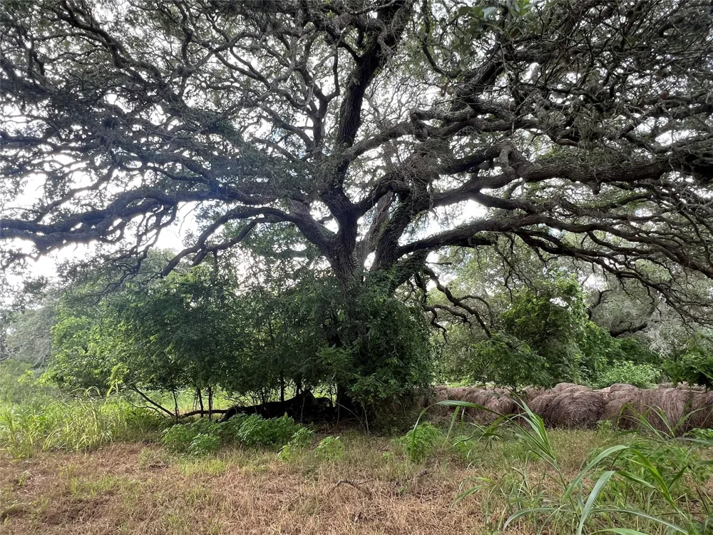 Langdon Road And Fm 1579 Schulenburg, TX 78956