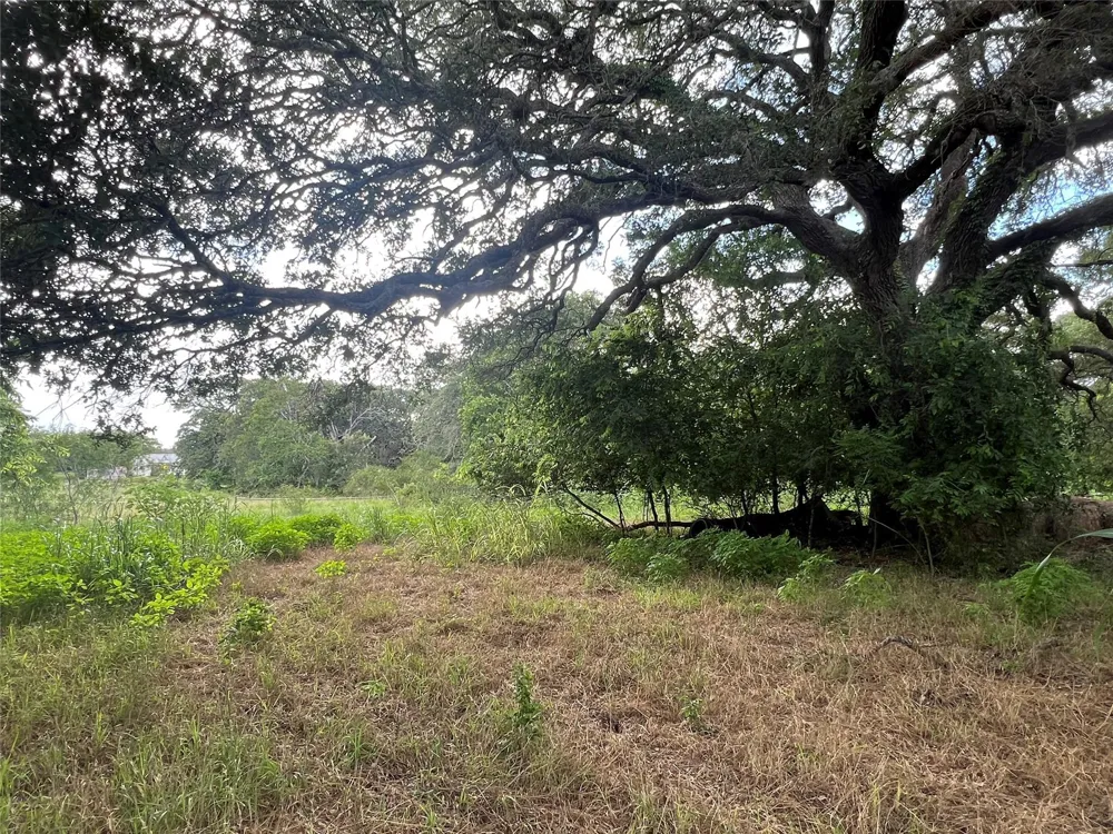 Langdon Road And Fm 1579 Schulenburg, TX 78956