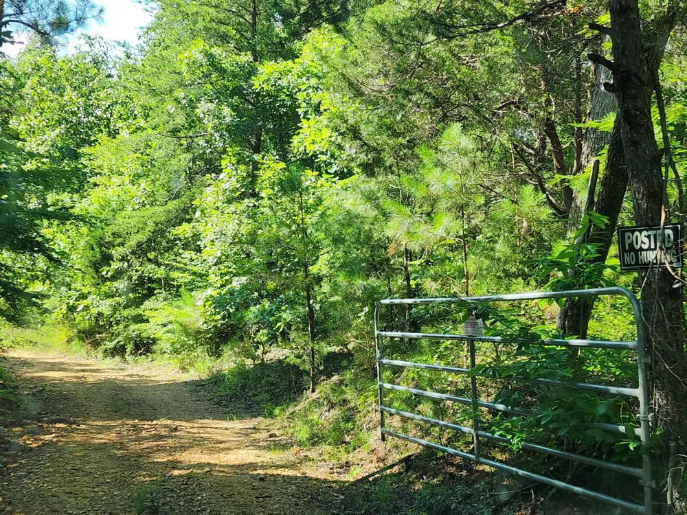 0 Sinking Creek Rd Linden, TN 37096