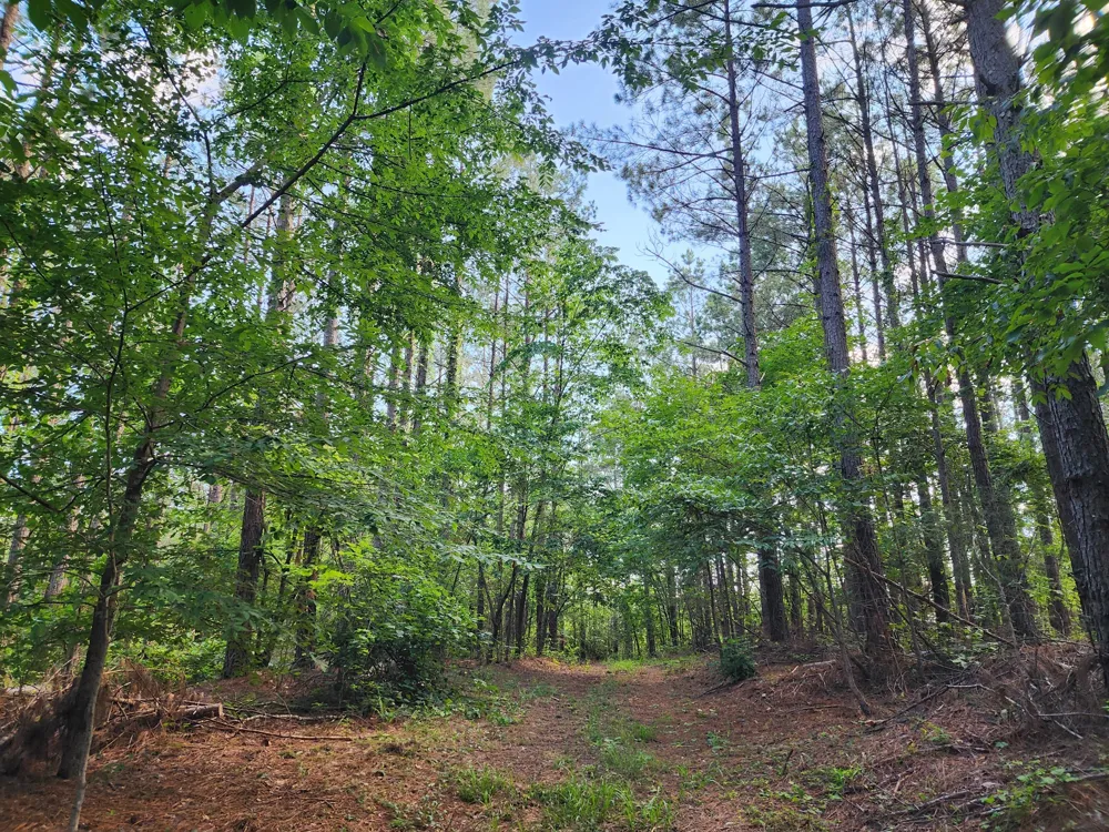 0 Sinking Creek Rd Linden, TN 37096