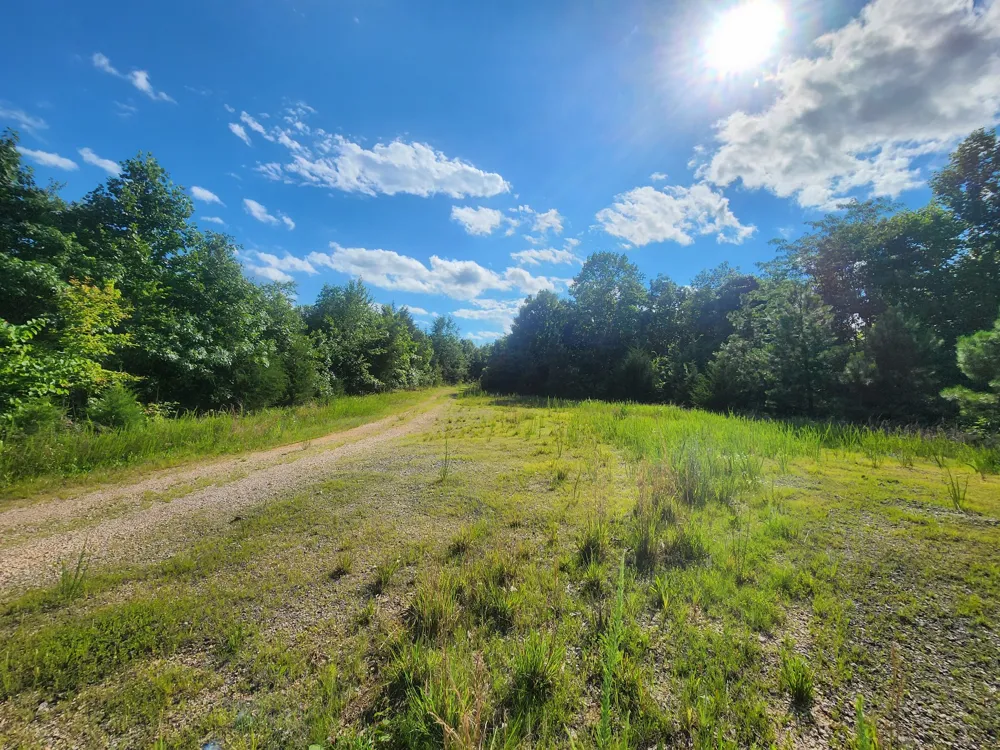 0 Sinking Creek Rd Linden, TN 37096