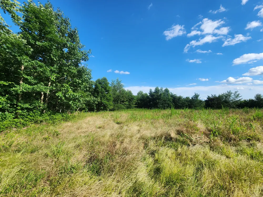 0 Sinking Creek Rd Linden, TN 37096