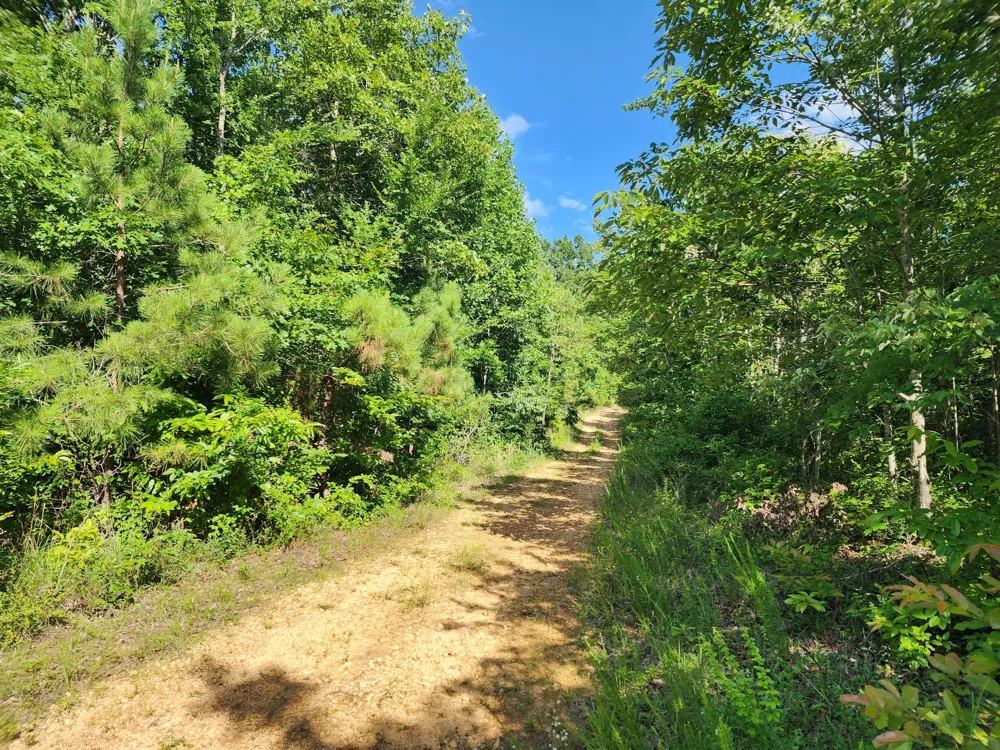 0 Sinking Creek Rd Linden, TN 37096
