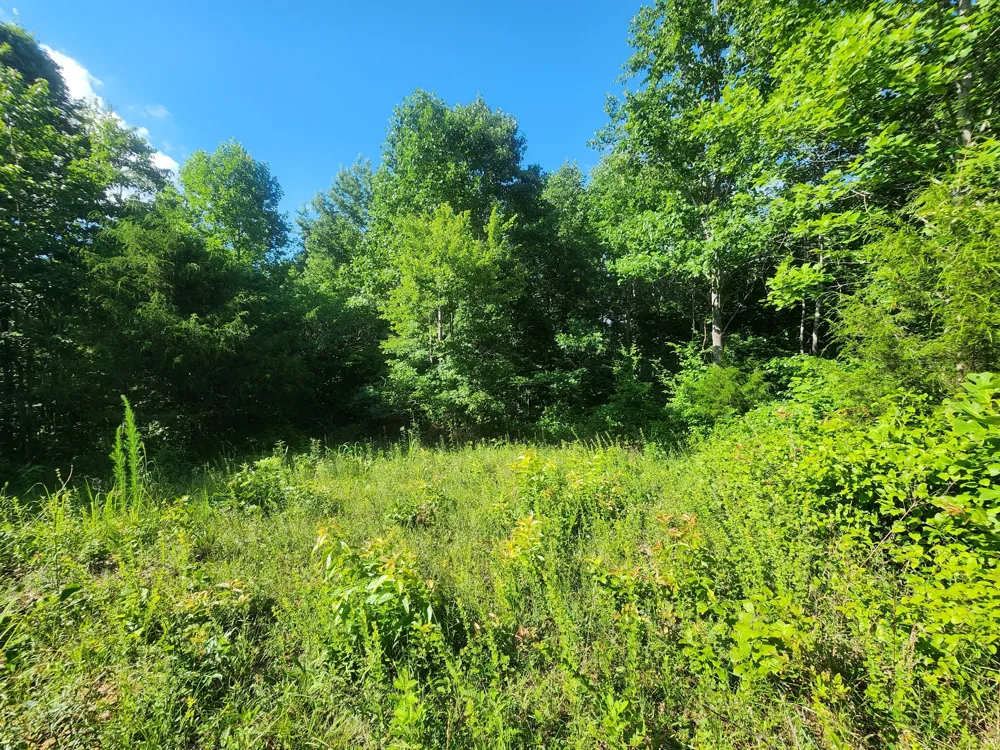 0 Sinking Creek Rd Linden, TN 37096