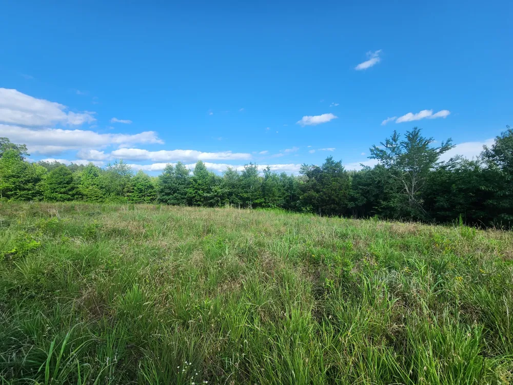 0 Sinking Creek Rd Linden, TN 37096