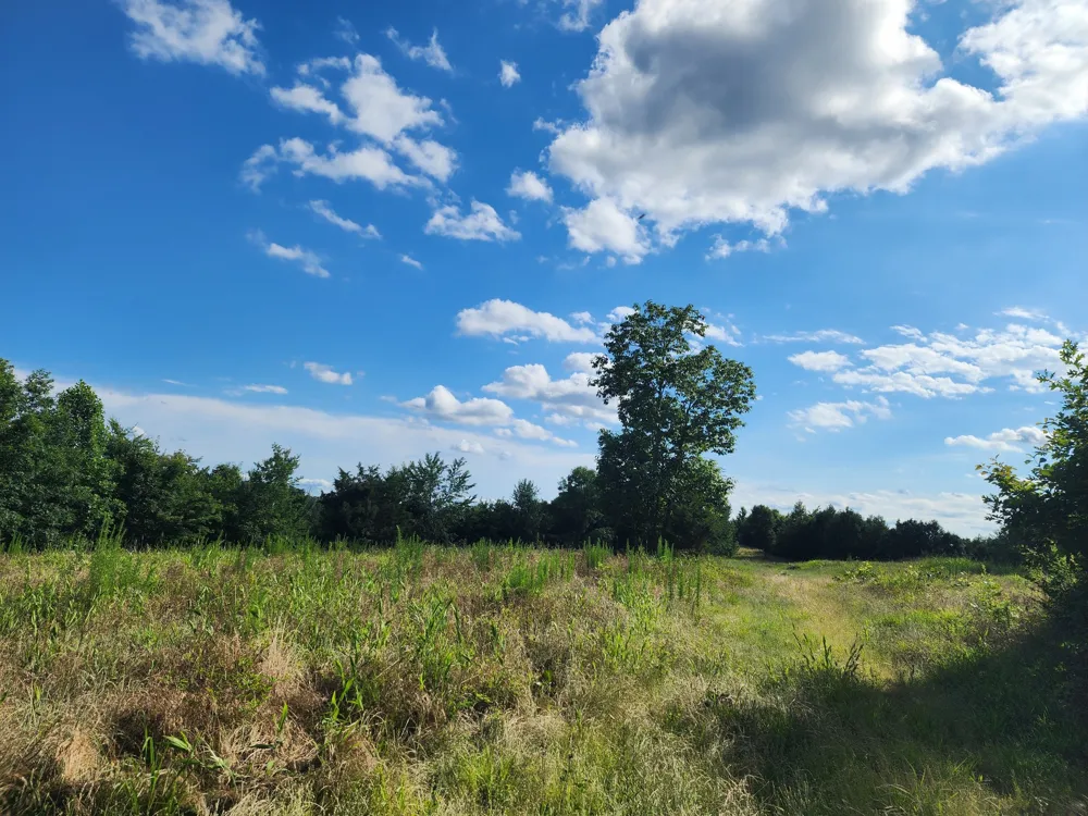 0 Sinking Creek Rd Linden, TN 37096