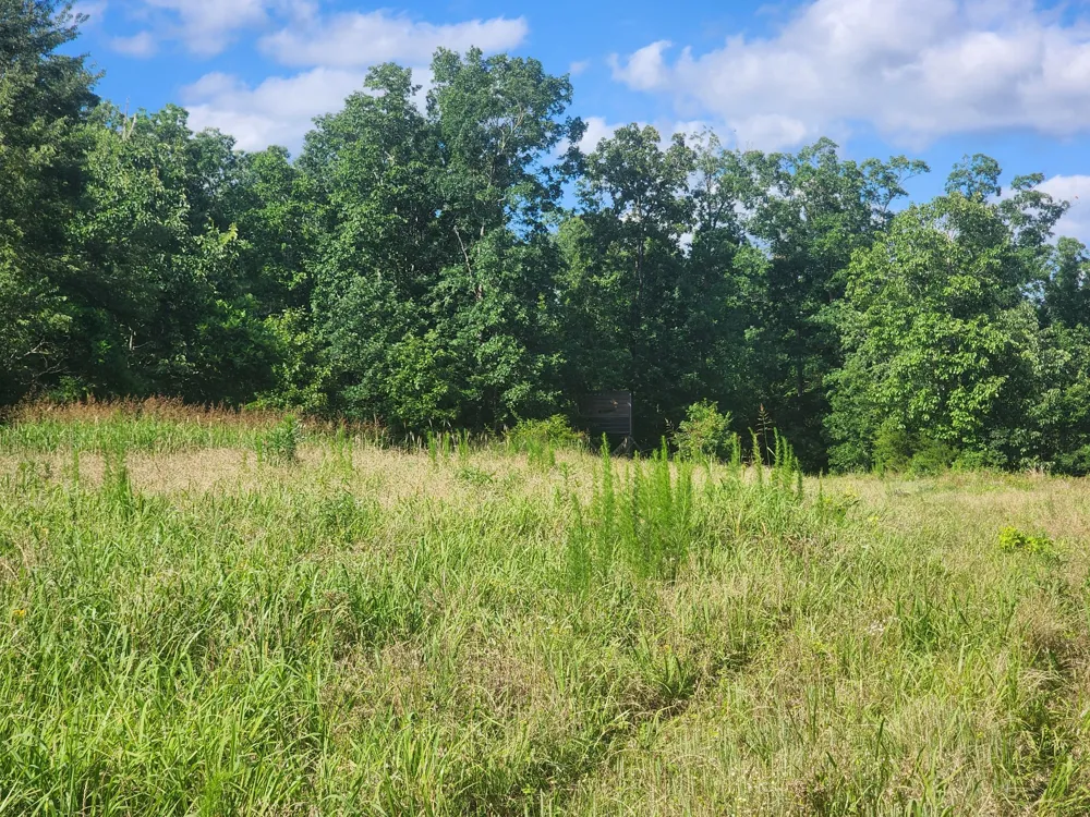 0 Sinking Creek Rd Linden, TN 37096