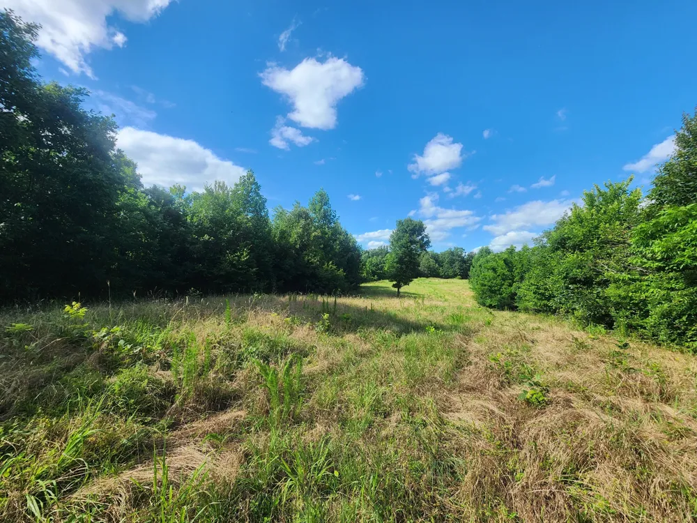 0 Sinking Creek Rd Linden, TN 37096