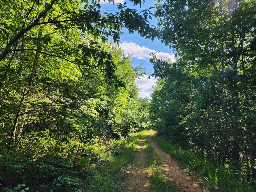 0 Sinking Creek Rd Linden, TN 37096