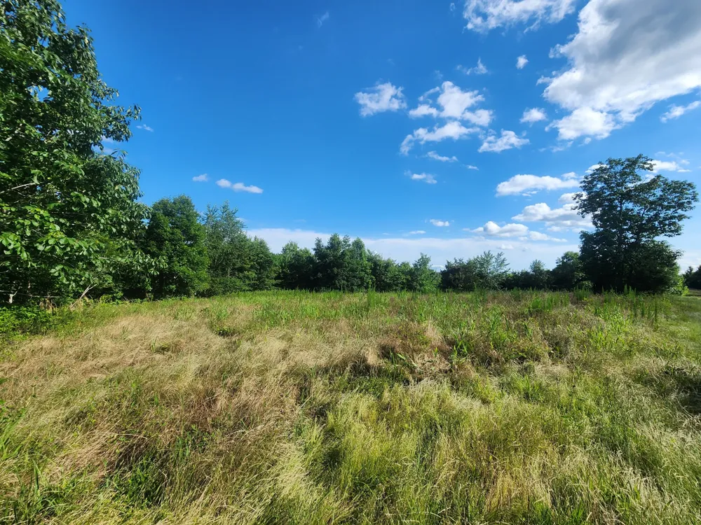 0 Sinking Creek Rd Linden, TN 37096
