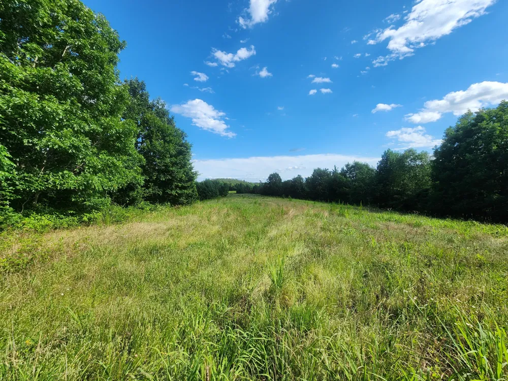 0 Sinking Creek Rd Linden, TN 37096
