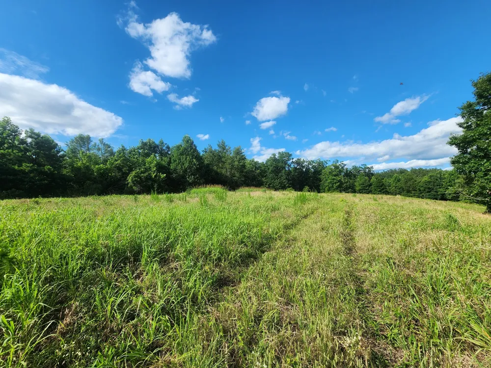 0 Sinking Creek Rd Linden, TN 37096