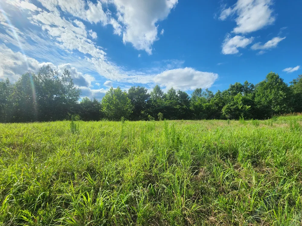 0 Sinking Creek Rd Linden, TN 37096