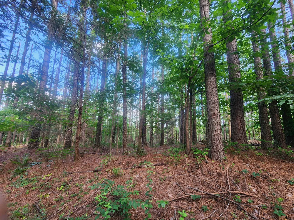 0 Sinking Creek Rd Linden, TN 37096