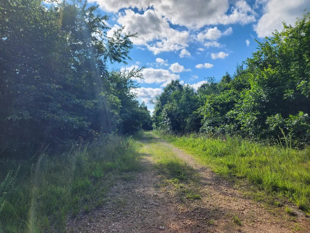 0 Sinking Creek Rd Linden, TN 37096