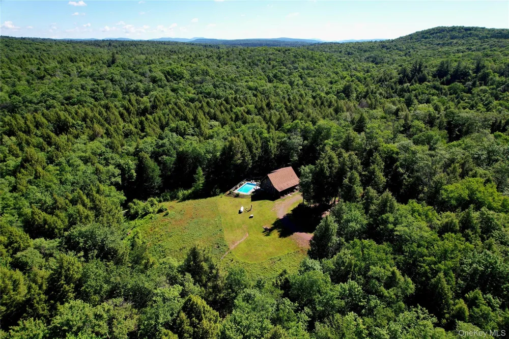 108 Eagles Ridge Way Parksville, NY 12768