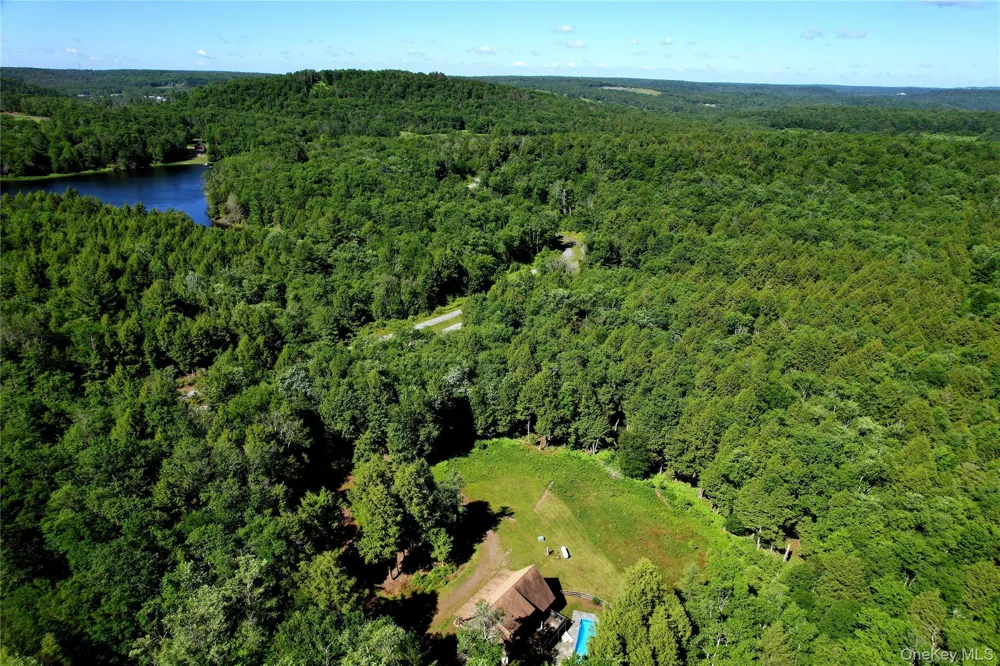 108 Eagles Ridge Way Parksville, NY 12768
