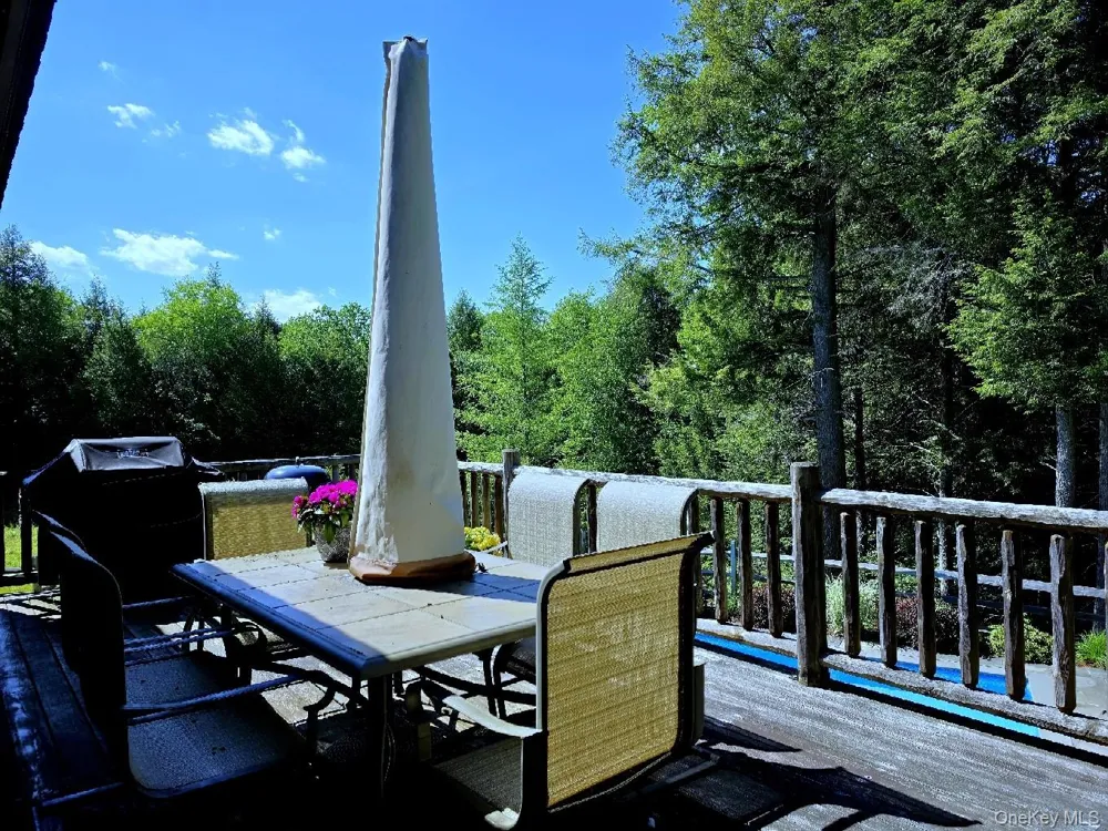 108 Eagles Ridge Way Parksville, NY 12768