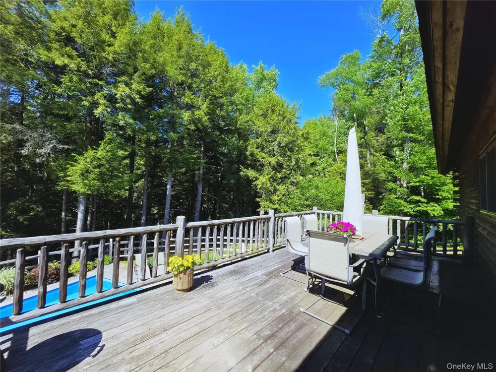 108 Eagles Ridge Way Parksville, NY 12768