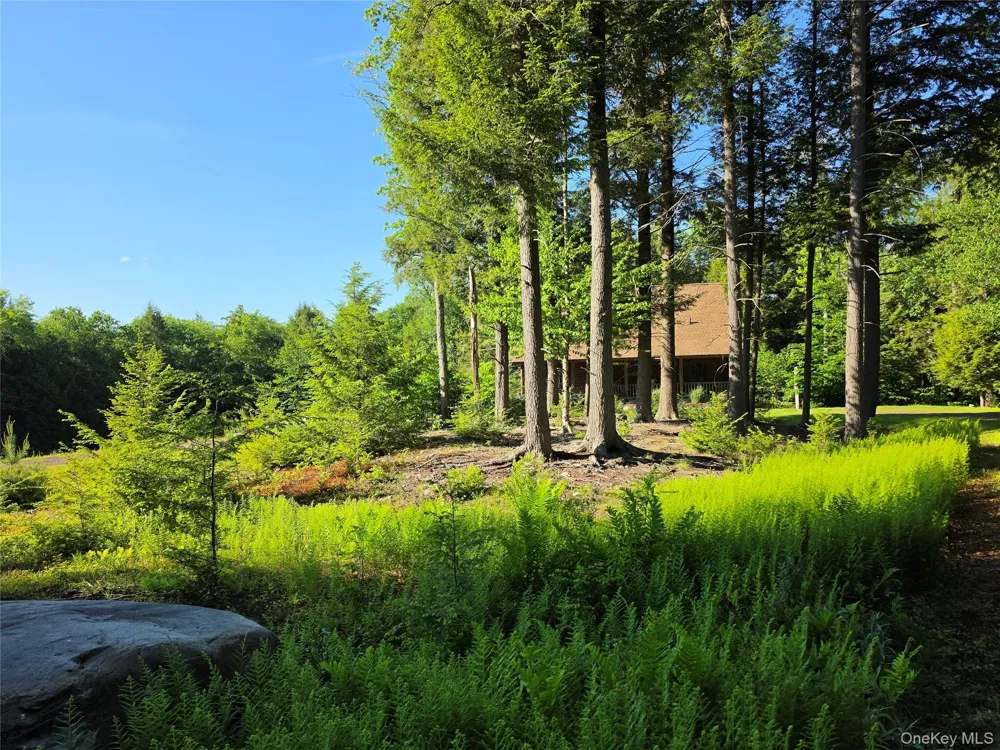 108 Eagles Ridge Way Parksville, NY 12768