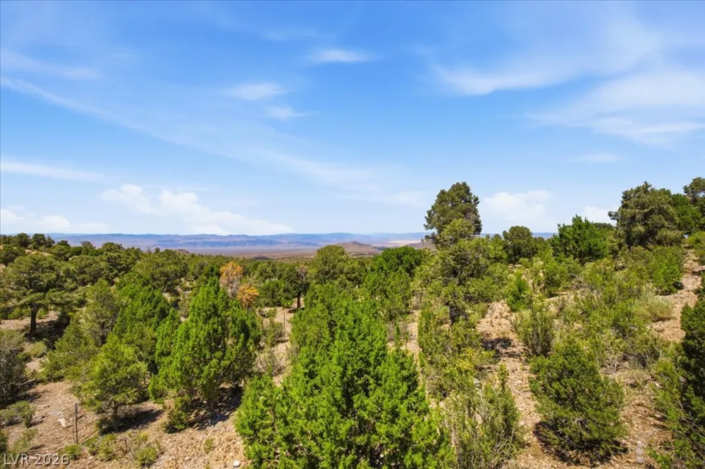 154 Oak Trail Circle Cold Creek, NV 89124
