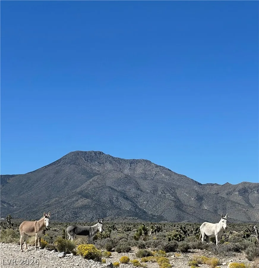 154 Oak Trail Circle Cold Creek, NV 89124