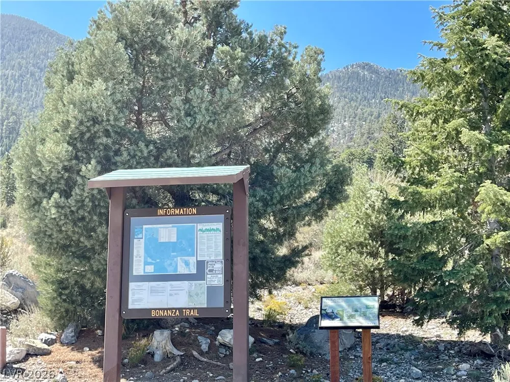 154 Oak Trail Circle Cold Creek, NV 89124
