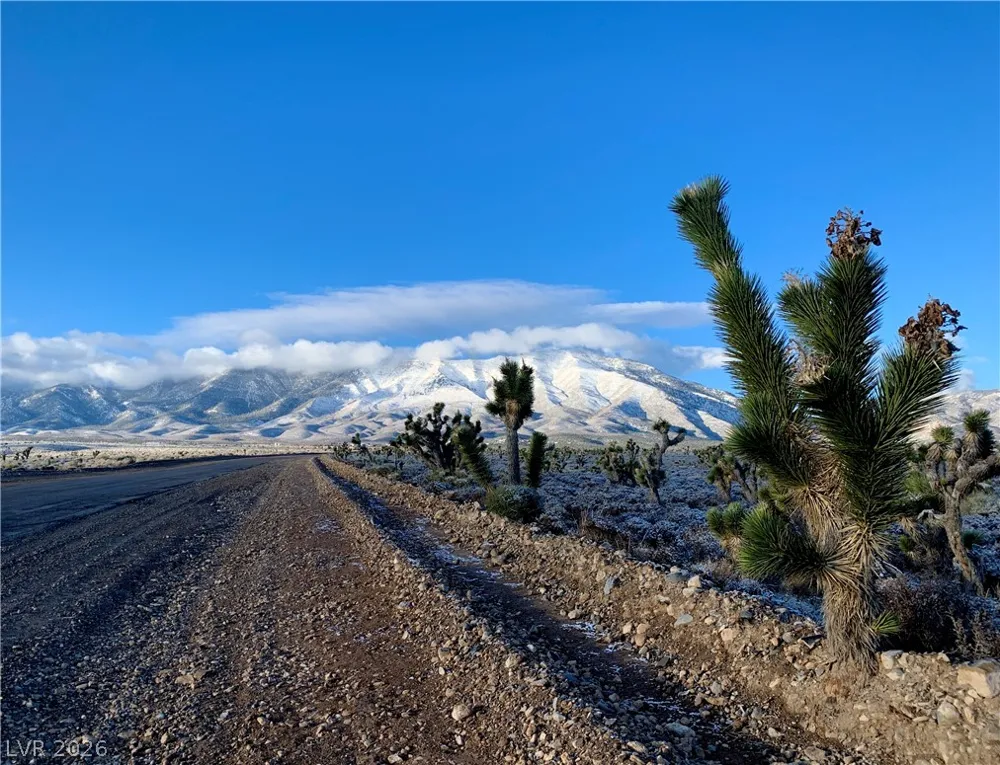 154 Oak Trail Circle Cold Creek, NV 89124